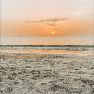 Meet your Posher, Lilly